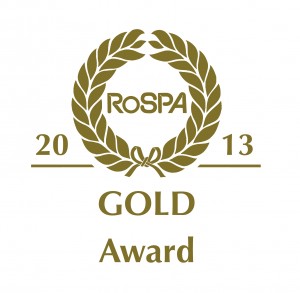 gold award 2013