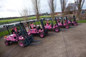 Pink Ladies