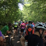 Leith Hill