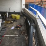 IMG_1911