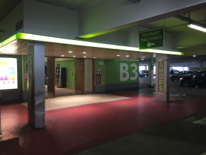 Festival 8