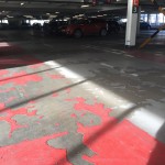 IMG_3425
