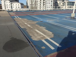 IMG_3440