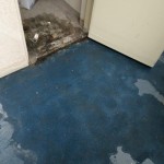 22.Leak to Cupboards