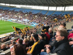 4 wasps