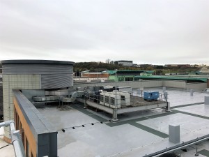 IMG_3986a