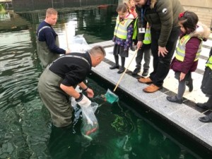 fish return to watergrdens 8